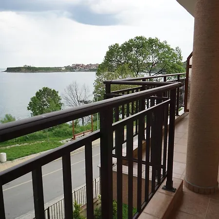 Grace - Port * 사레보